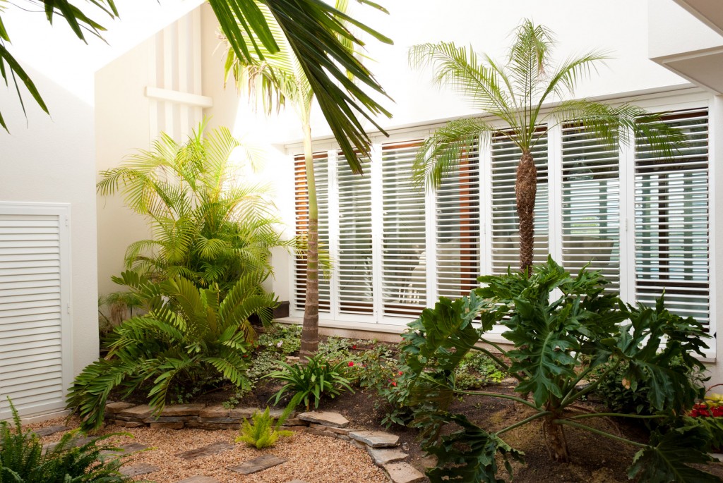 jardin-subtropical-en-patio-interior | David Jiménez. Arquitectura y