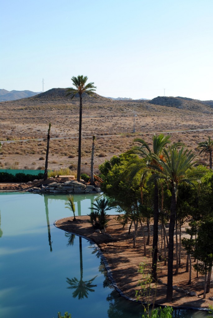 proyecto-de-paisajismo-de-lago | David Jiménez. Arquitectura y