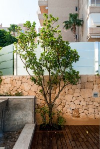 El rincón de Amparo. Diseño de jardín y estanque en vivienda de lujo
