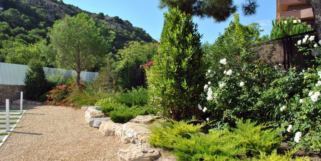 Imagen de jardín mediterraneo con laurel y rosas