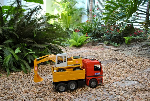 Diseño de patio tropical | | David Jiménez. Arquitectura y paisajismo