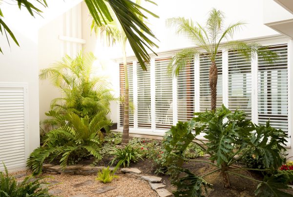 Diseño de patio tropical | | David Jiménez. Arquitectura y paisajismo