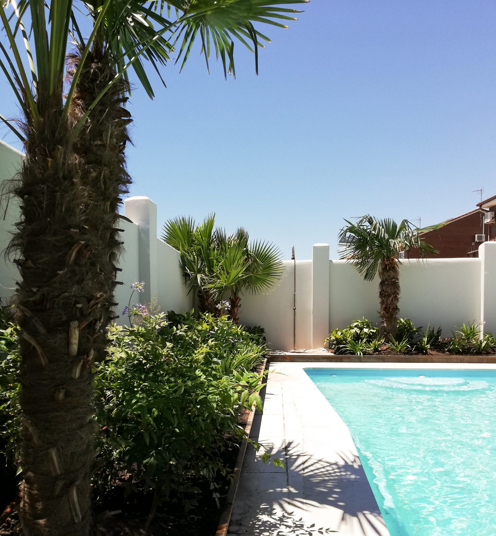 Diseño de jardín tropical en Meco | | David Jiménez. Arquitectura y