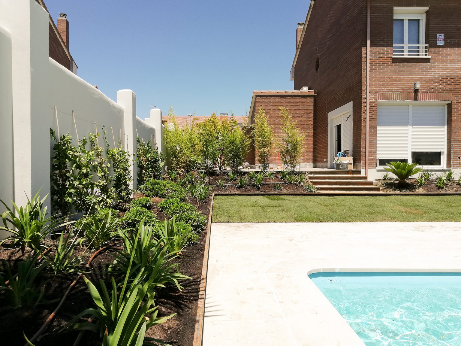 Diseño de jardín tropical en Meco | | David Jiménez. Arquitectura y